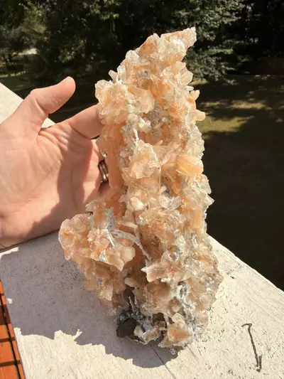 plant/Large Peach Stilbite Cluster – Jalgaon, India – 6.5”-0-thumbnail