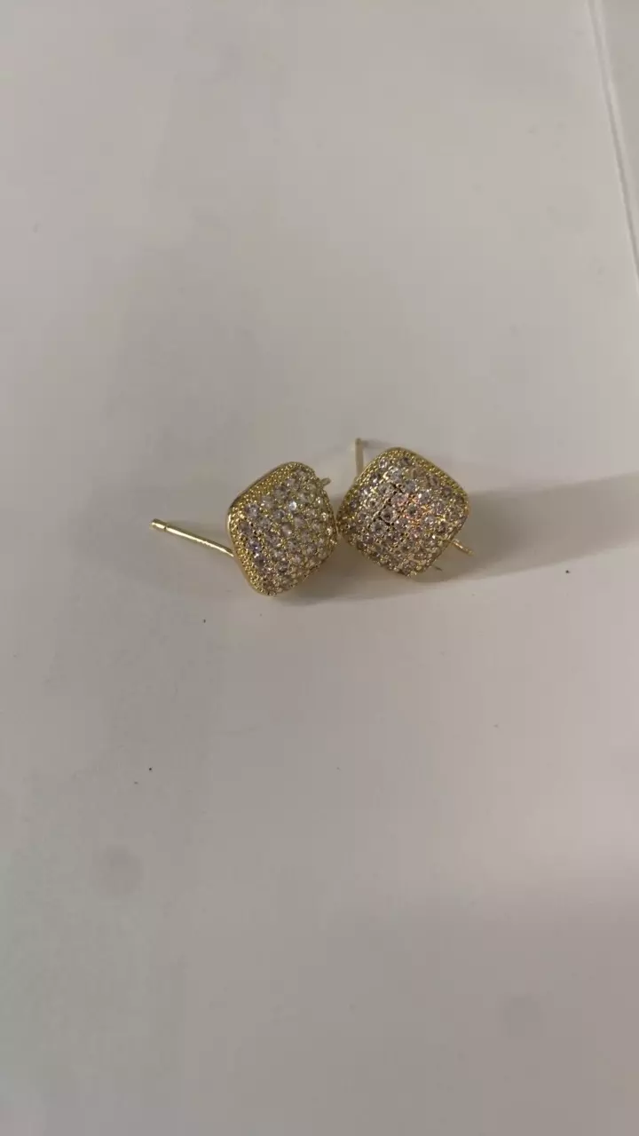 plant/Stainless steel earing accessory-0