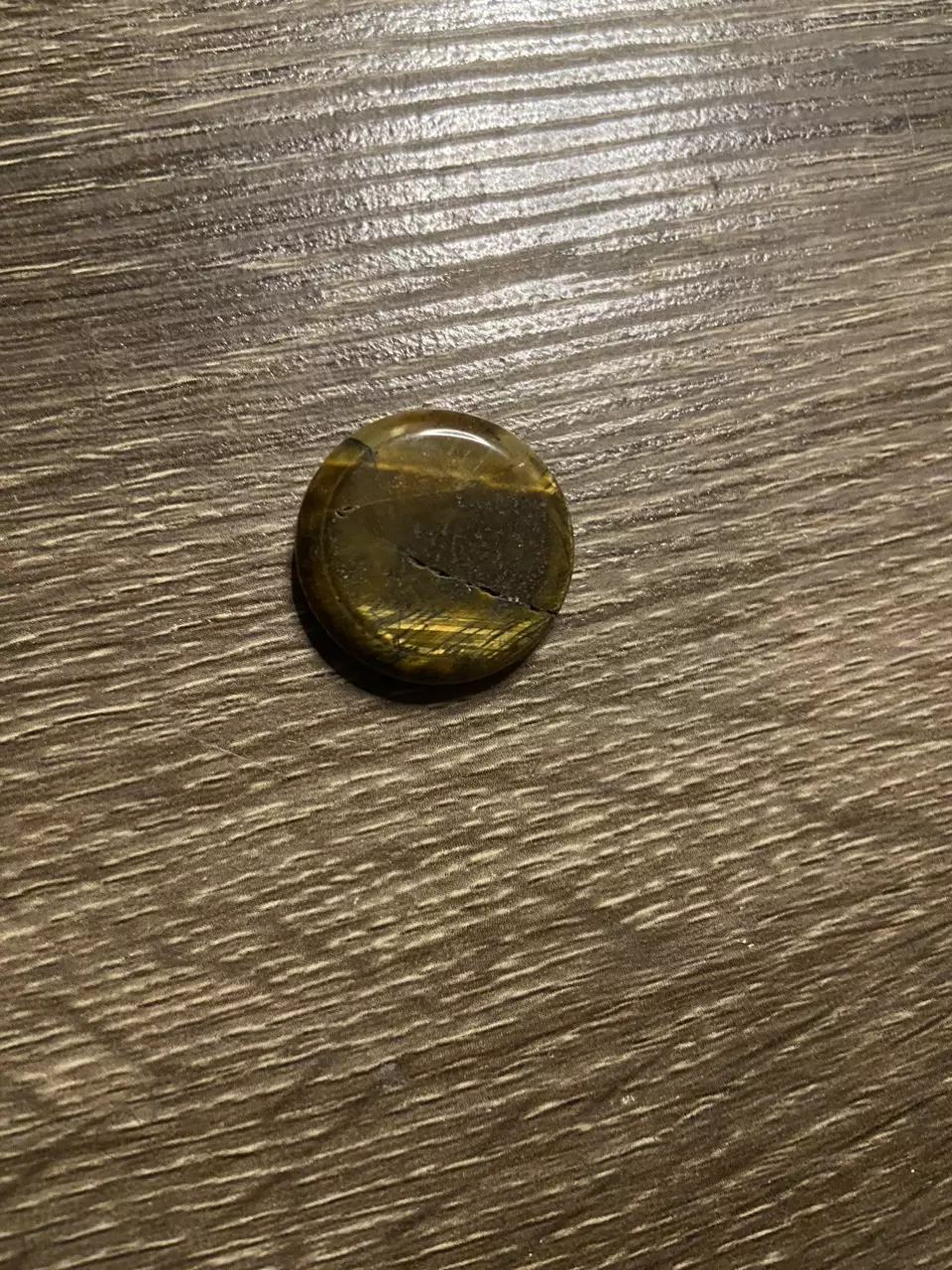 plant/Tigers Eye Circle-0