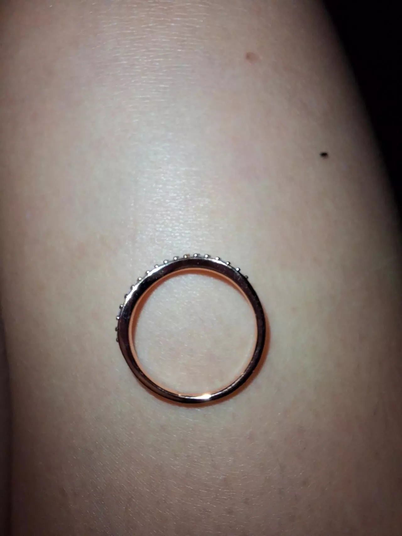 plant/3 rings-1