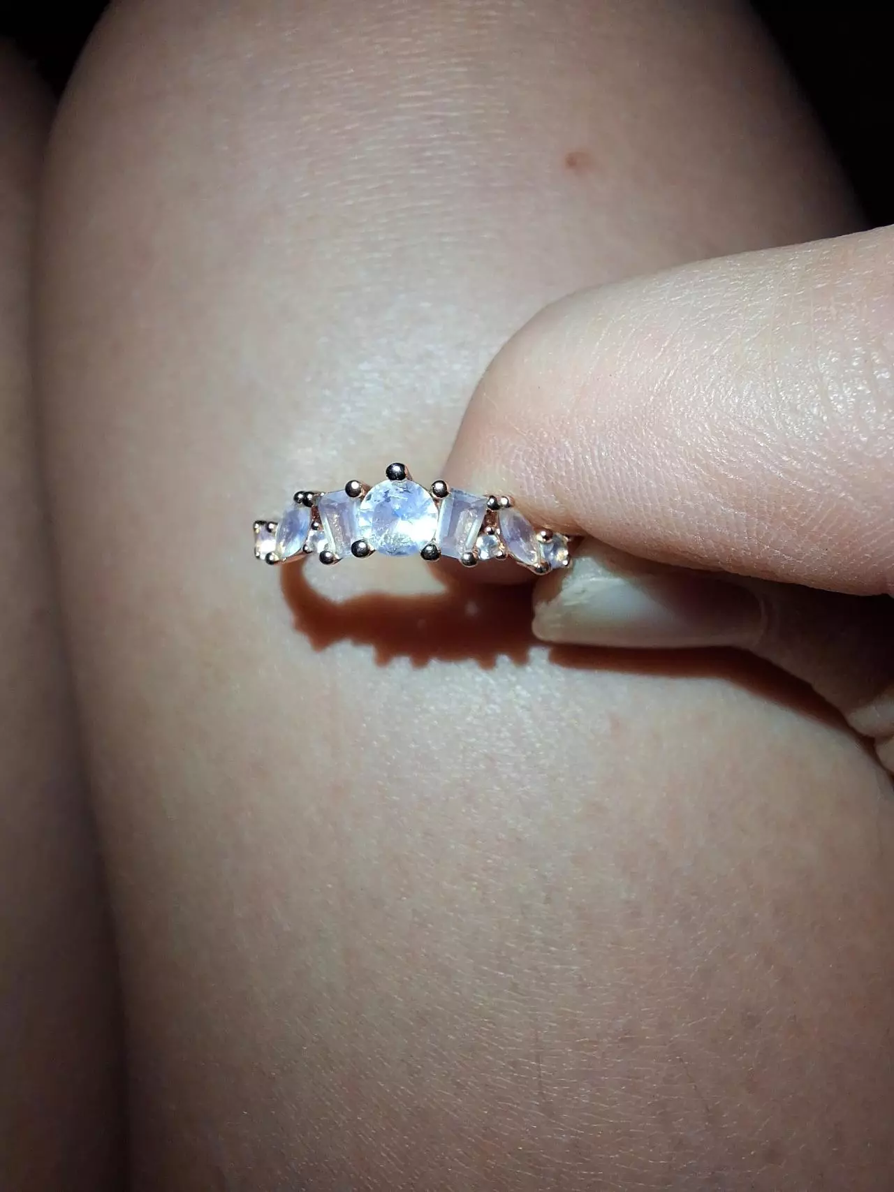 plant/3 rings-6