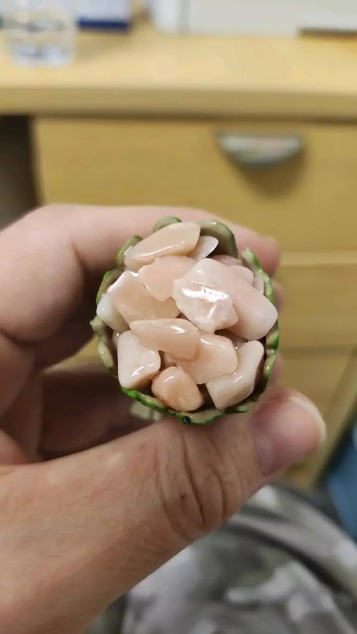 plant/Rose quartz groot-1