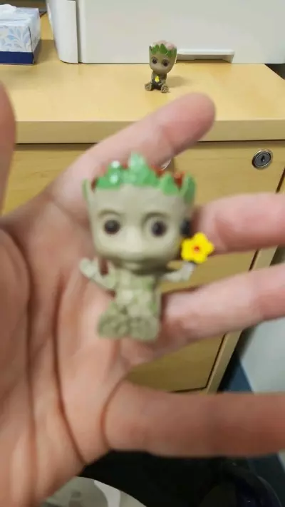 plant/Red jasper groot-2-thumbnail