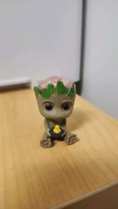 plant/Rose quartz groot-0-thumbnail
