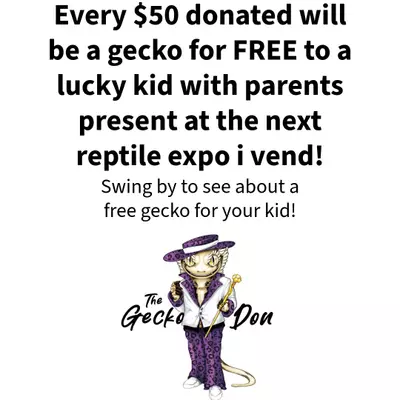 plant/Buy a kid a whole gecko.-0-thumbnail