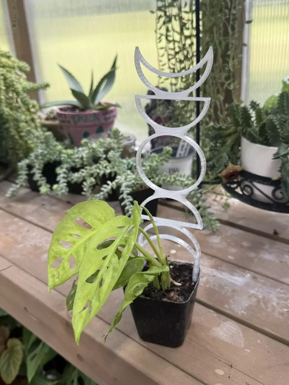 plant/Not Just a Phase Trellis | 3D printed | PETG-4