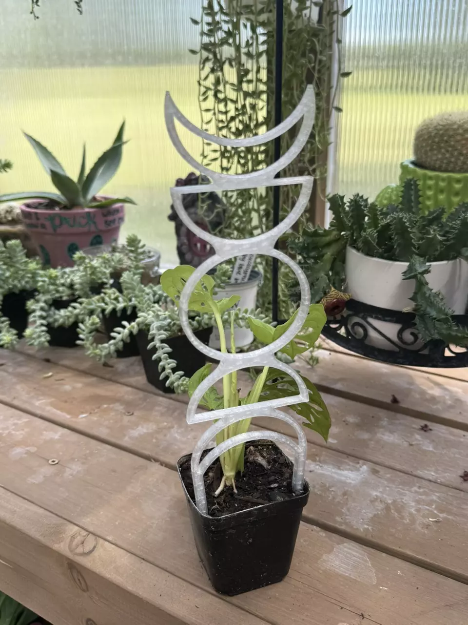 plant/Not Just a Phase Trellis | 3D printed | PETG-1