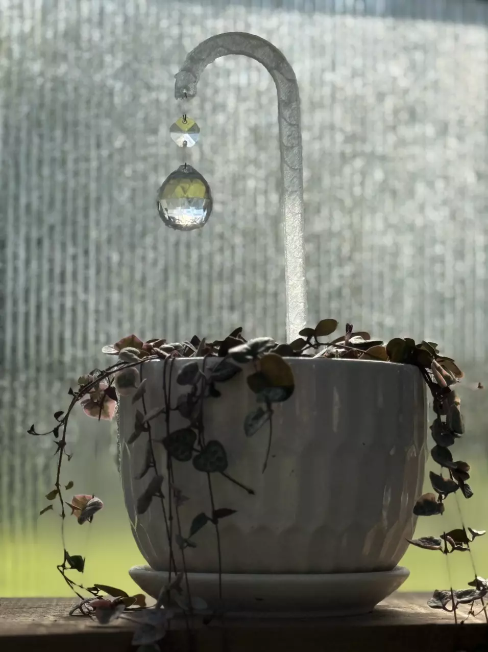 plant/Catchin’ Rays Plant Stake | Set of 2 | Suncatcher | Crystals-0