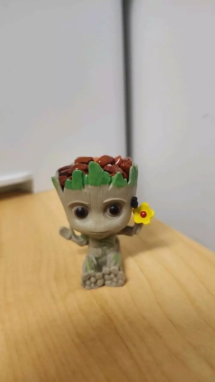 plant/Red jasper groot-0