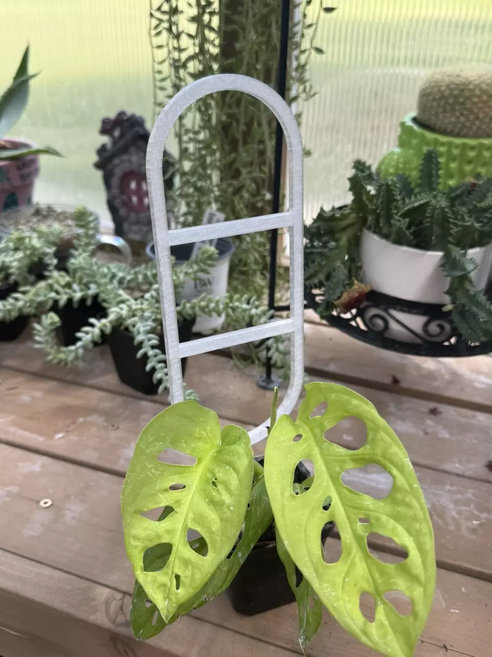 plant/Oval Vine Ladder Trellis | 3D printed | PETG-1