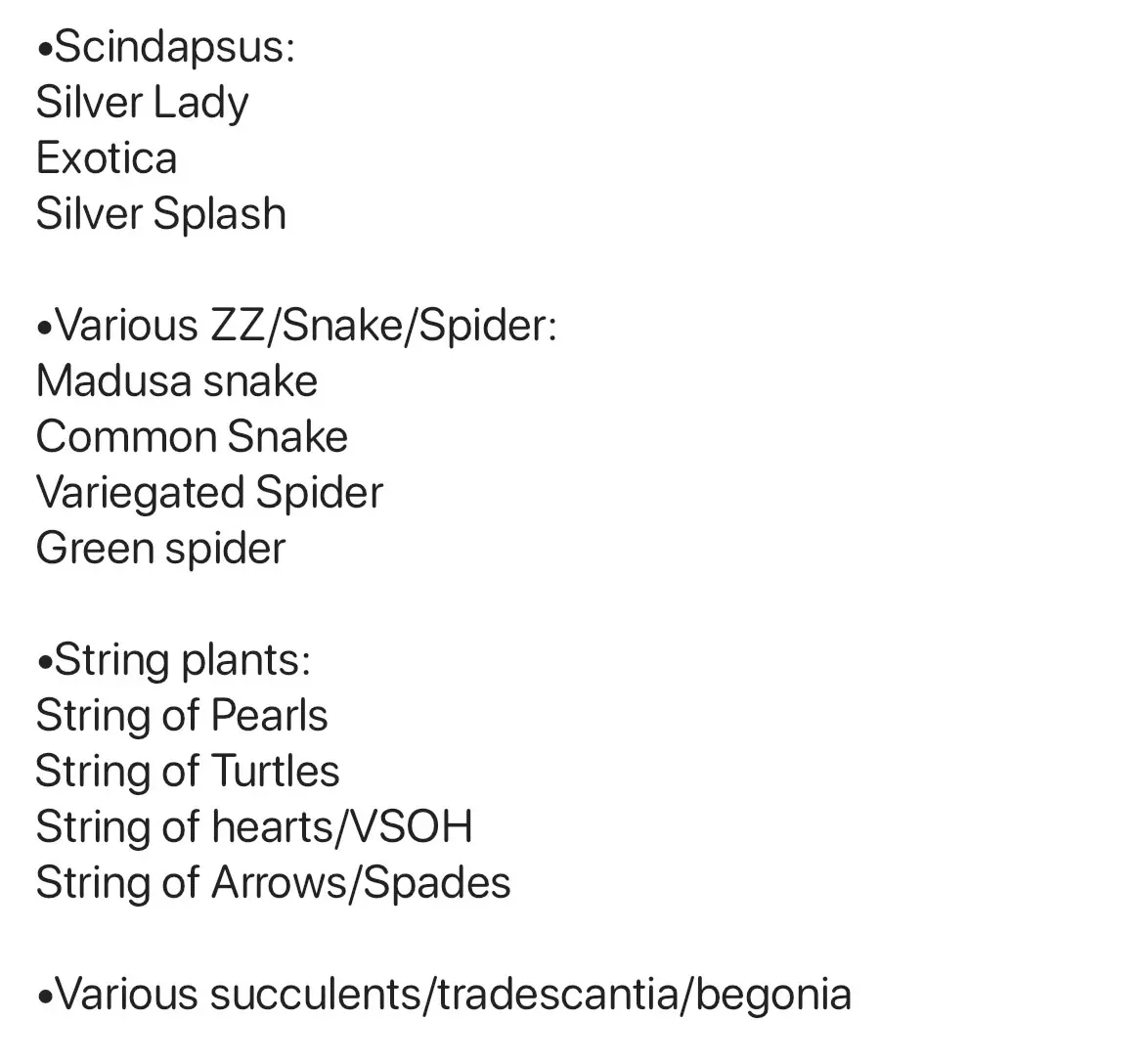 plant/Mystery Cuttings Box-5