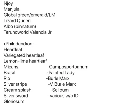 plant/Mystery Cuttings Box-2-thumbnail