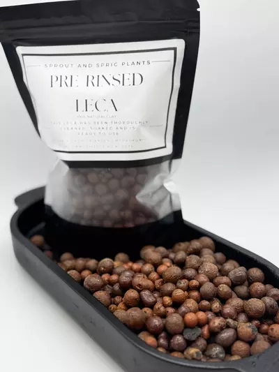 plant/LECA Clay Pebbles | Semi-Hydro Growing Medium-0-thumbnail