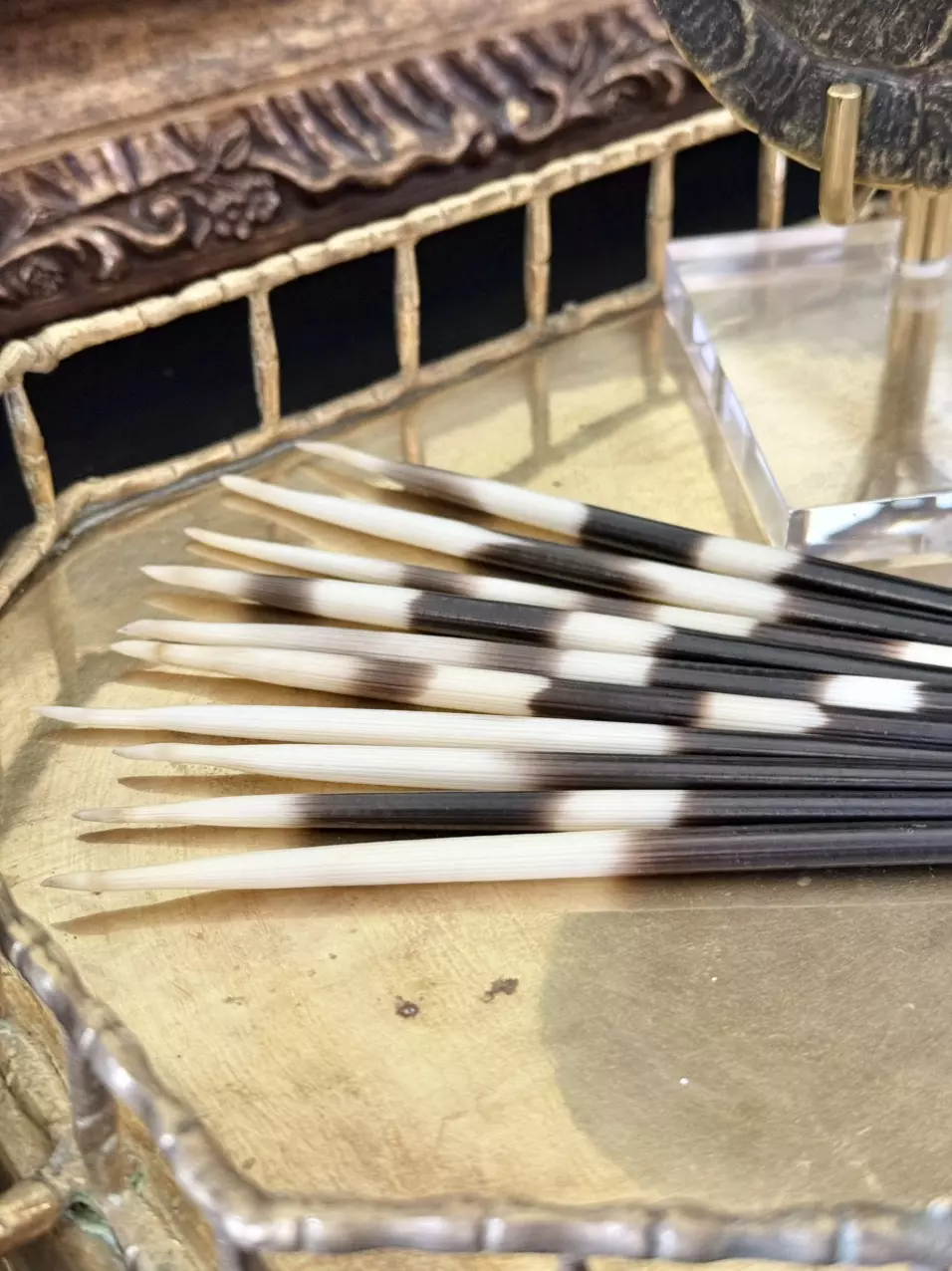 plant/Porcupine Quills-Set of 10-1