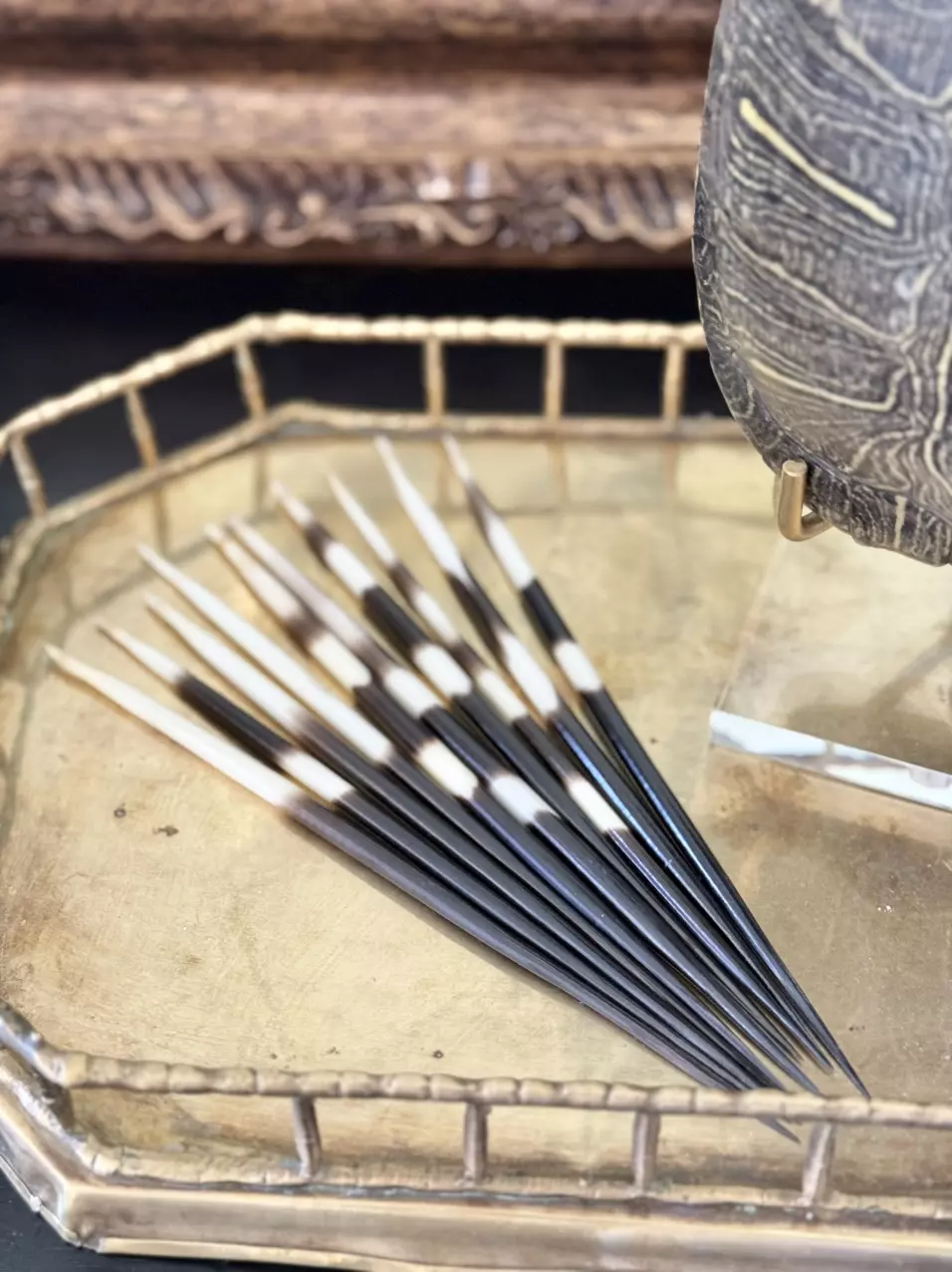 plant/Porcupine Quills-Set of 10-0