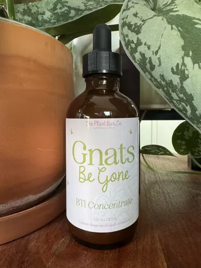 plant/Gnats Be Gone - BTI Concentrate-0-thumbnail