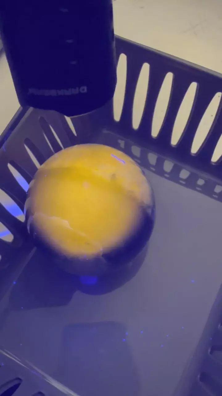 plant/Sodalite sphere uv reactive-0