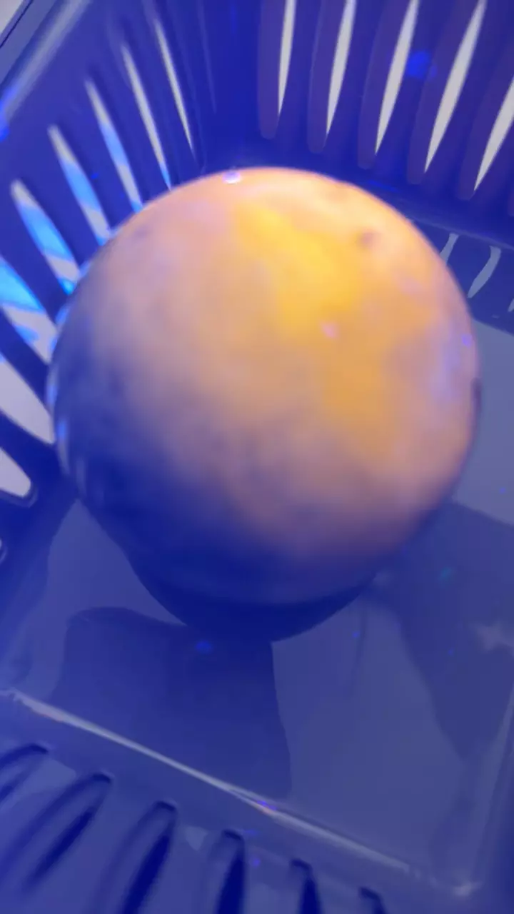 plant/Sodalite sphere-1