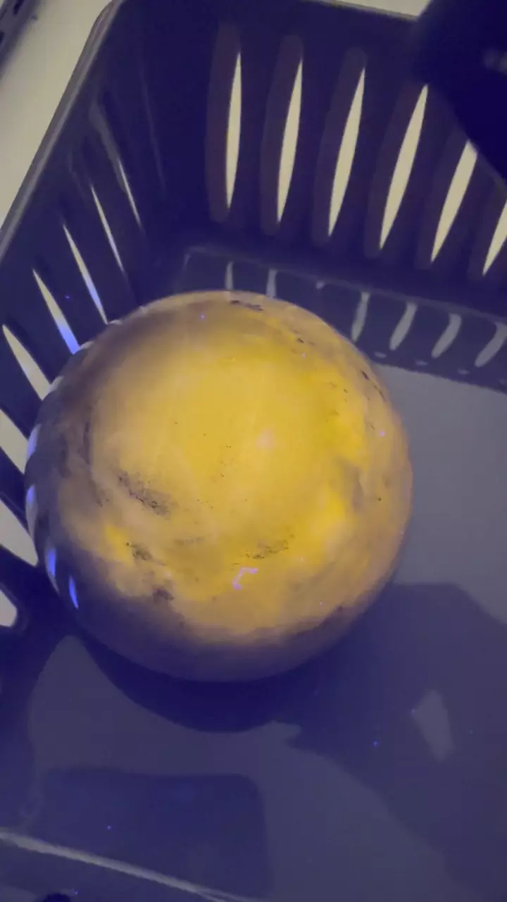 plant/Sodalite sphere-1