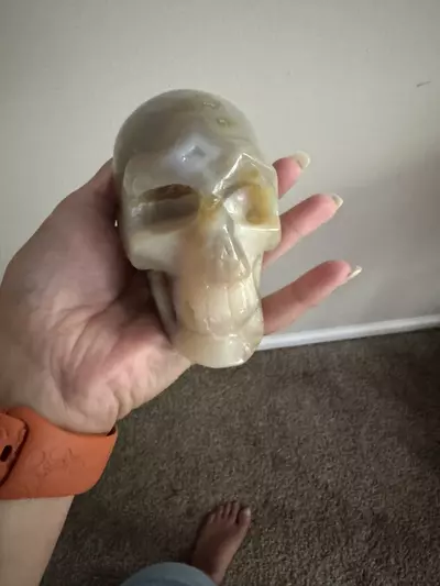 plant/Crystal skull-0-thumbnail