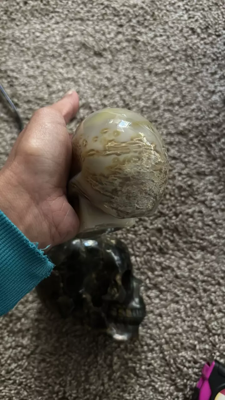 plant/Crystal skull-1