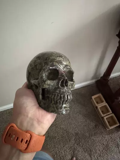 plant/Crystal skull-0-thumbnail