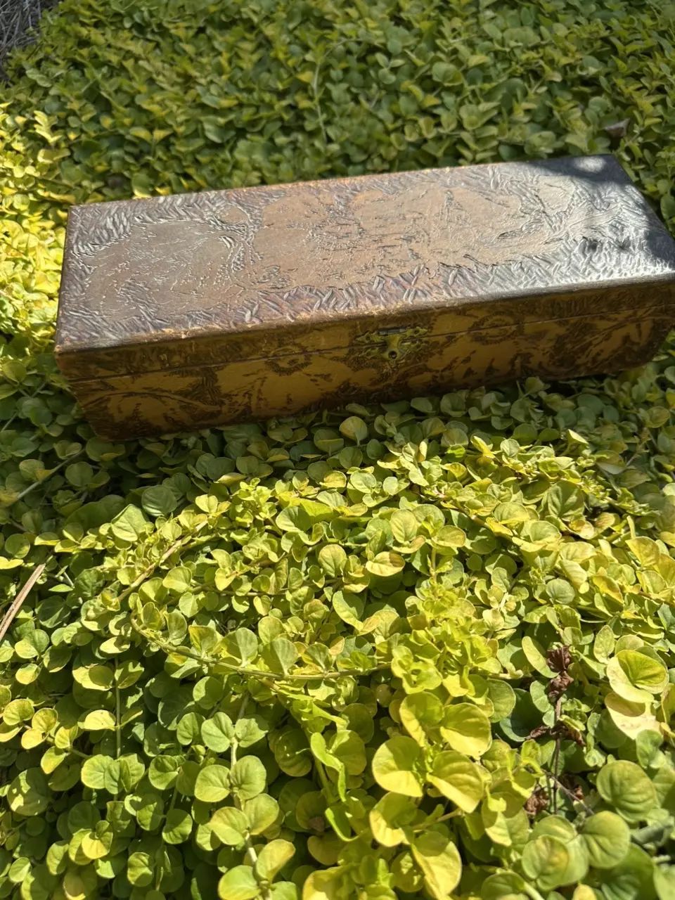 plant/Pyrography Box-0