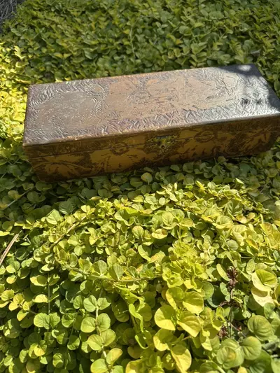 plant/Pyrography Box-0-thumbnail