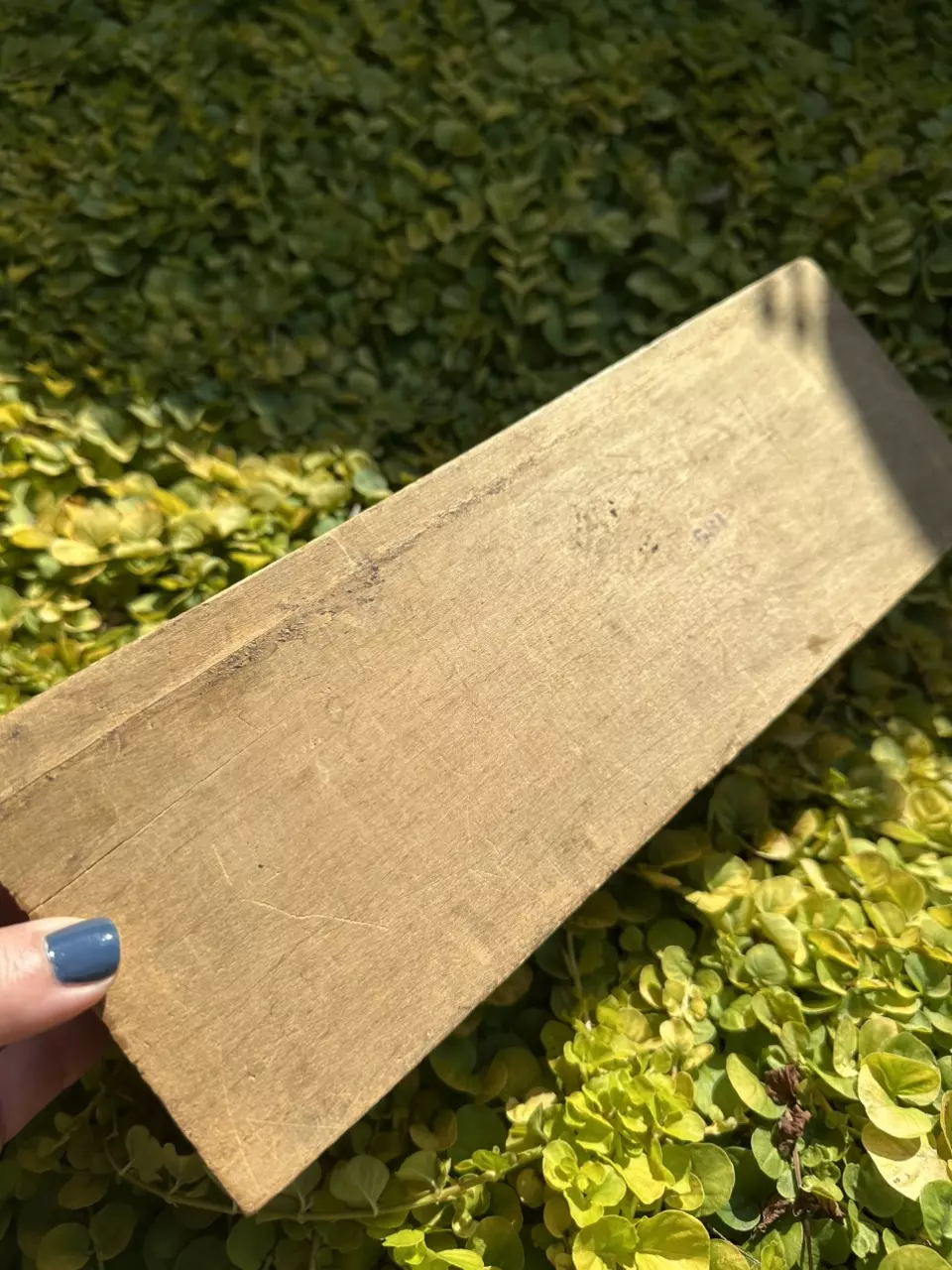 plant/Pyrography Box-4