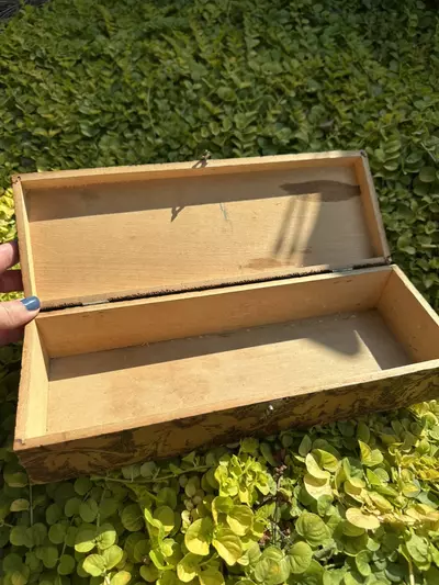 plant/Pyrography Box-3-thumbnail