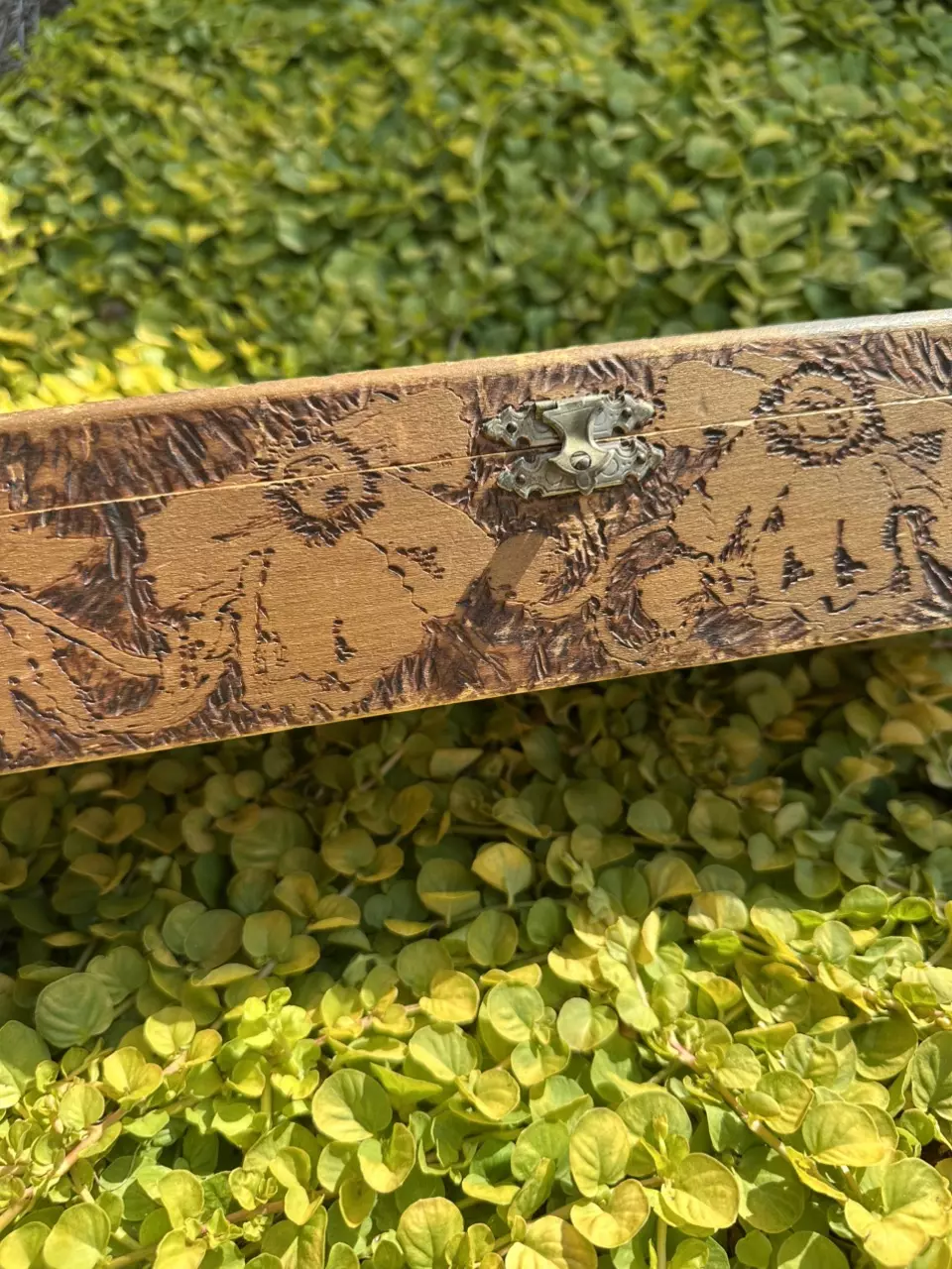 plant/Pyrography Box-1