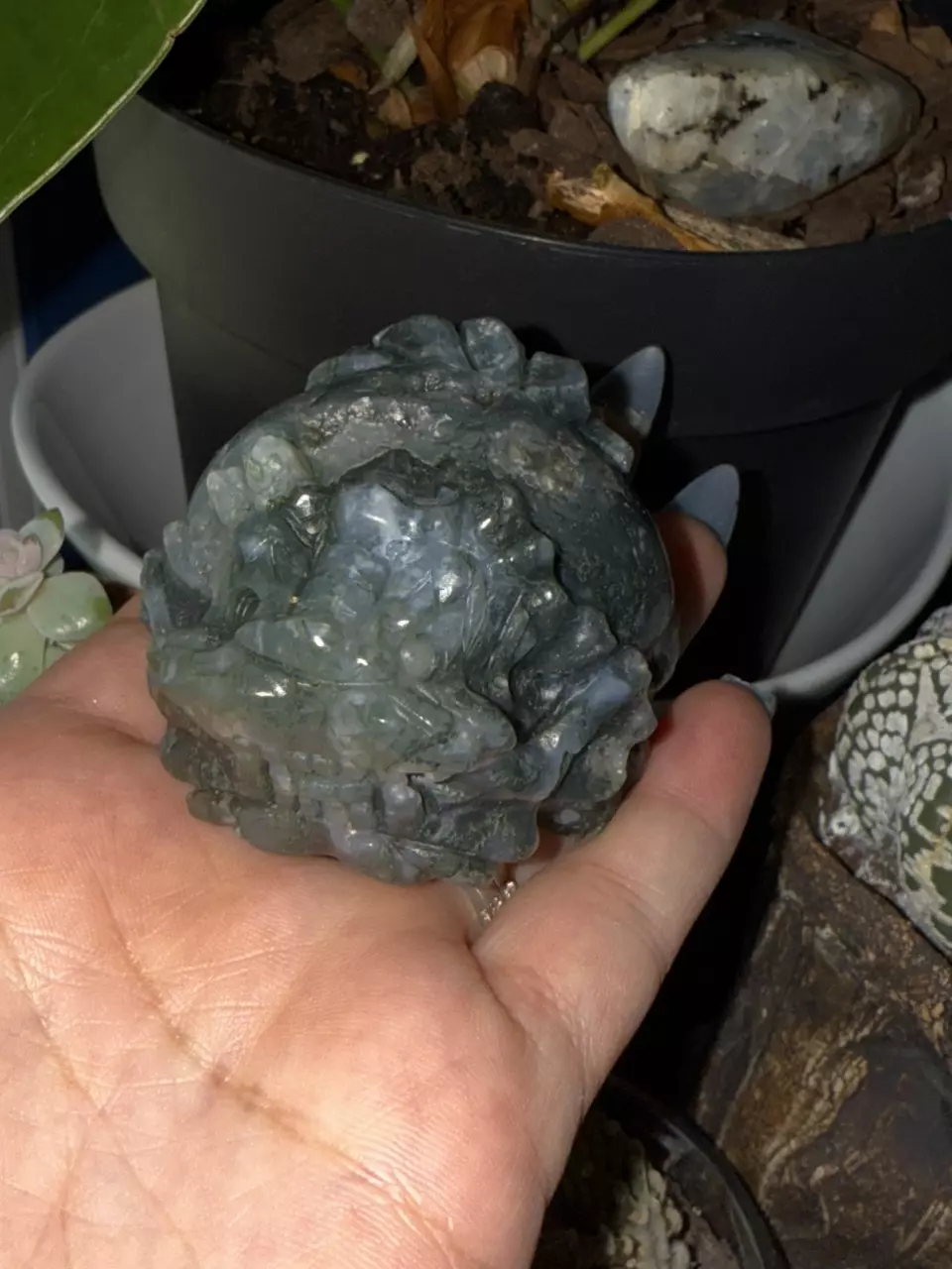 plant/Moss agate dt-0