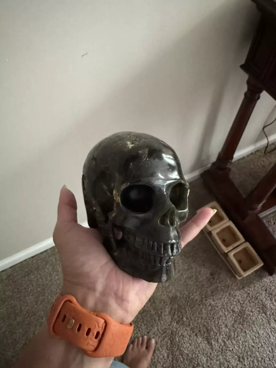 plant/Crystal skull-0