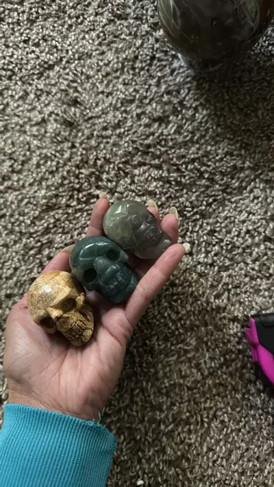 plant/Group of mini skulls-0-thumbnail