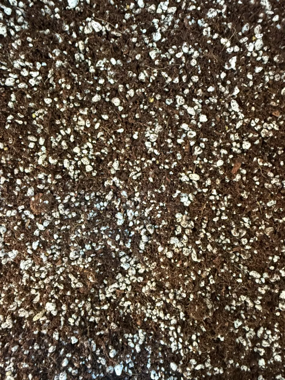 plant/Coco/Perlite with Mycorrhiza plus Ozmocote Slow Release Fertilizer-0