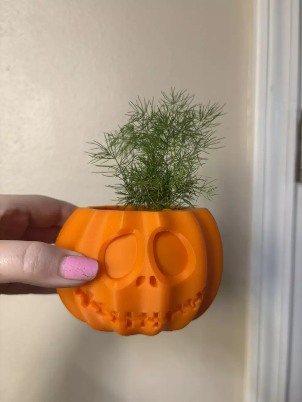 free_shipping/Pumpkin planter-0