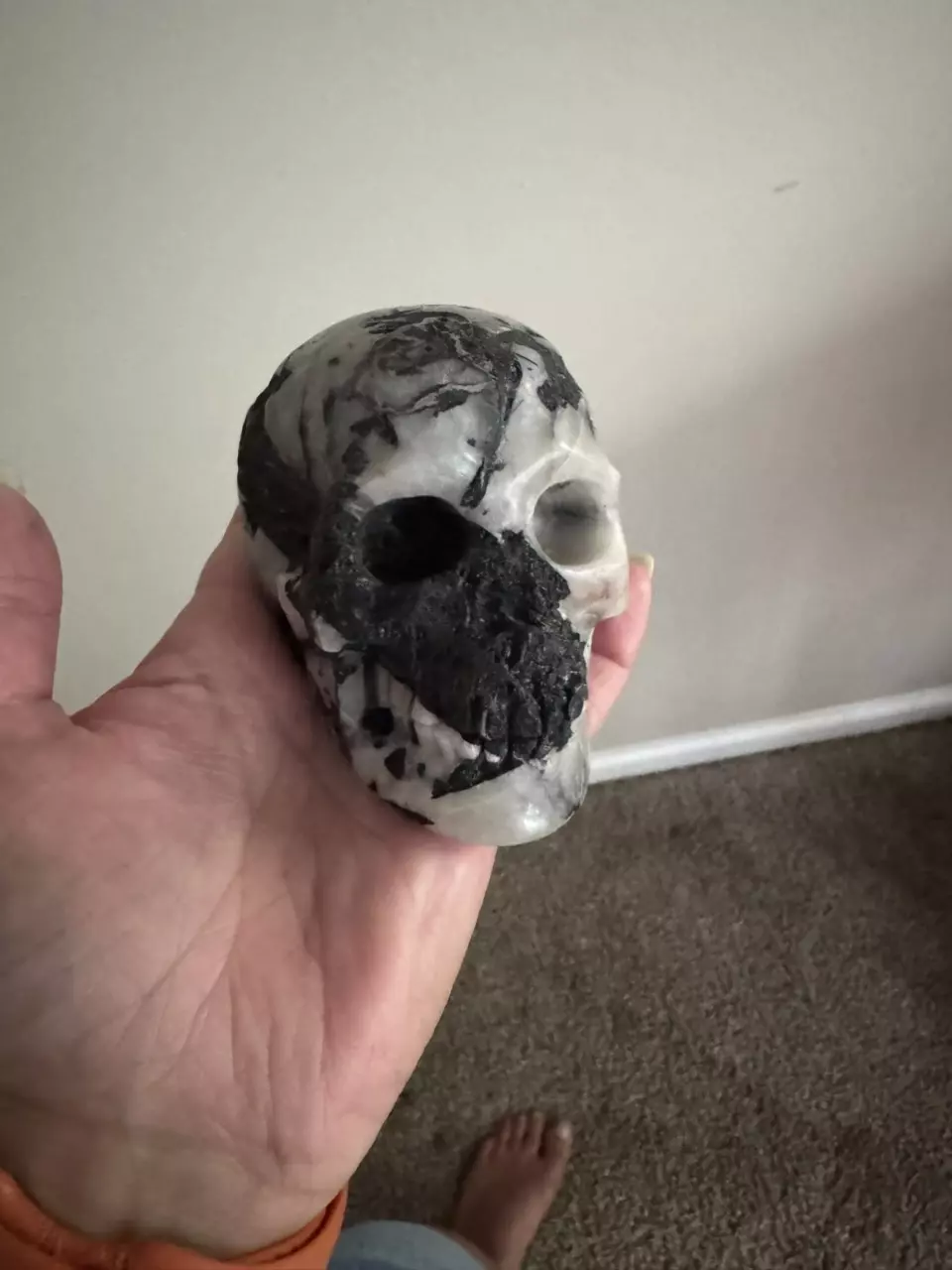 plant/Crystal skull-0