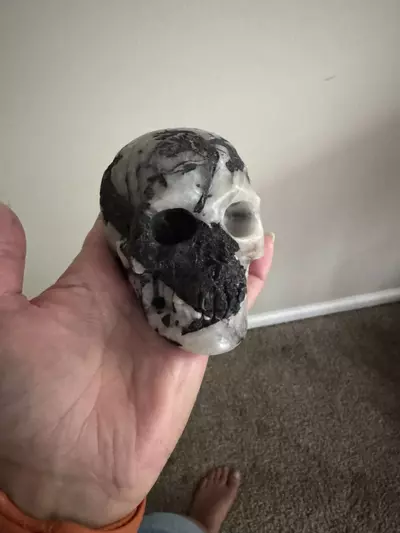 plant/Crystal skull-0-thumbnail