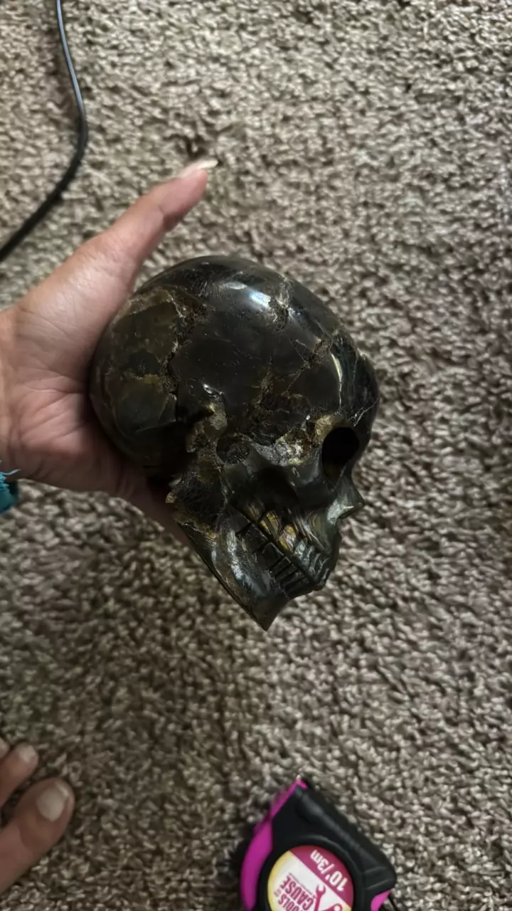 plant/Crystal skull-1