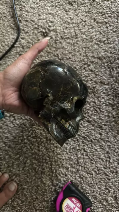 plant/Crystal skull-1-thumbnail