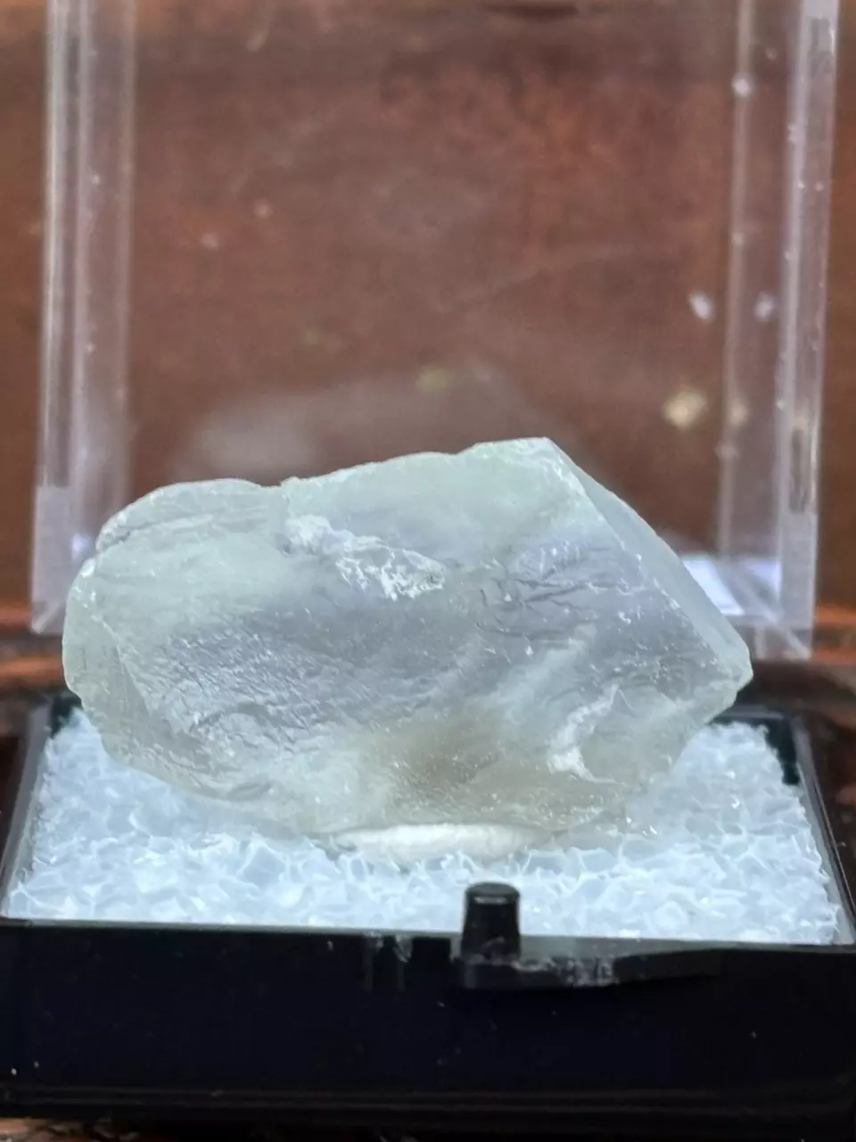 plant/Etched Fluorite - no sketcky with this Etchy!-1