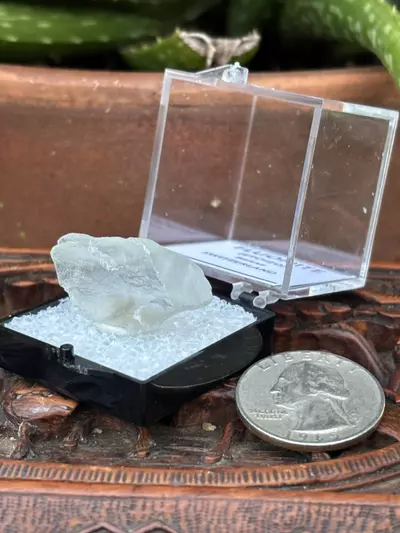 plant/Etched Fluorite Switzerland-2-thumbnail