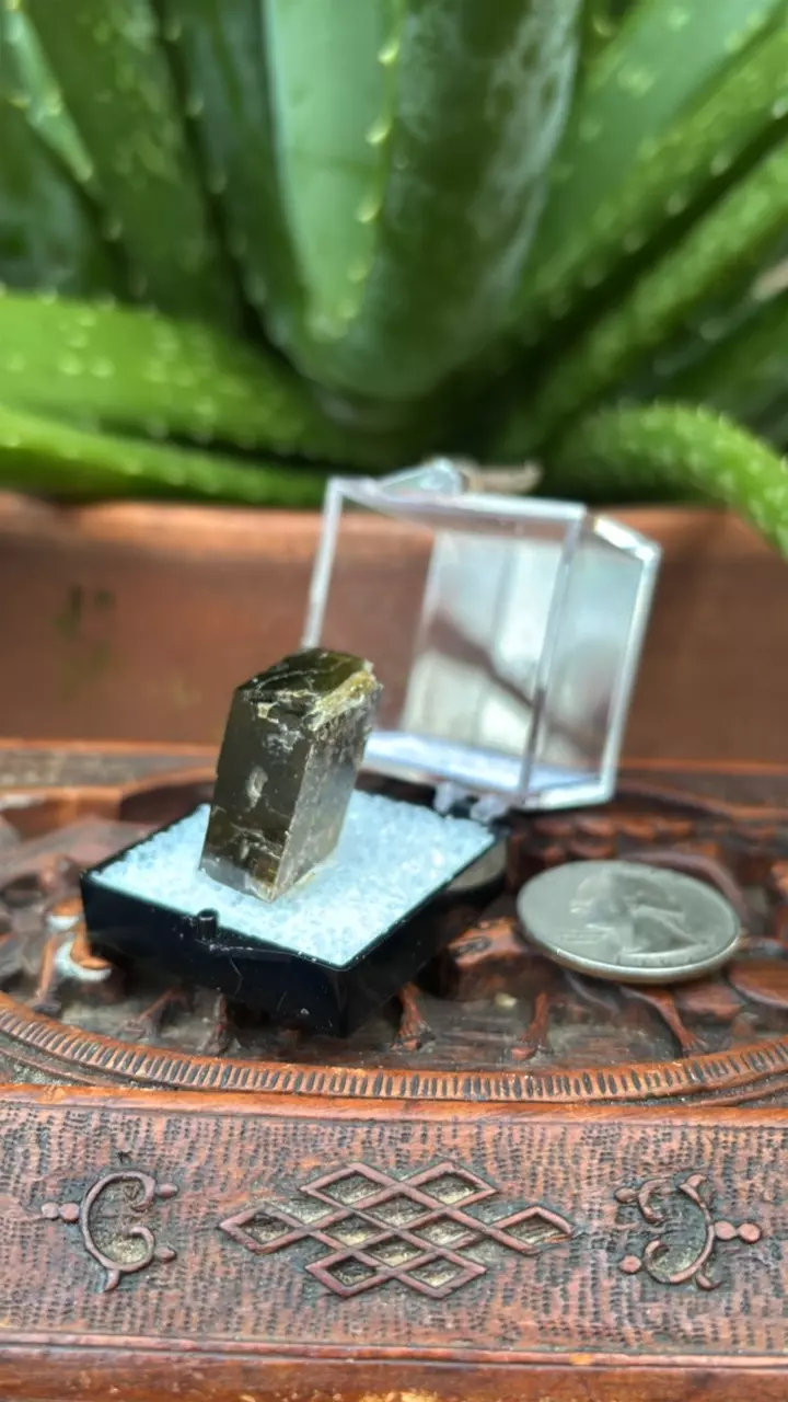 plant/Siderite from Brazil-1