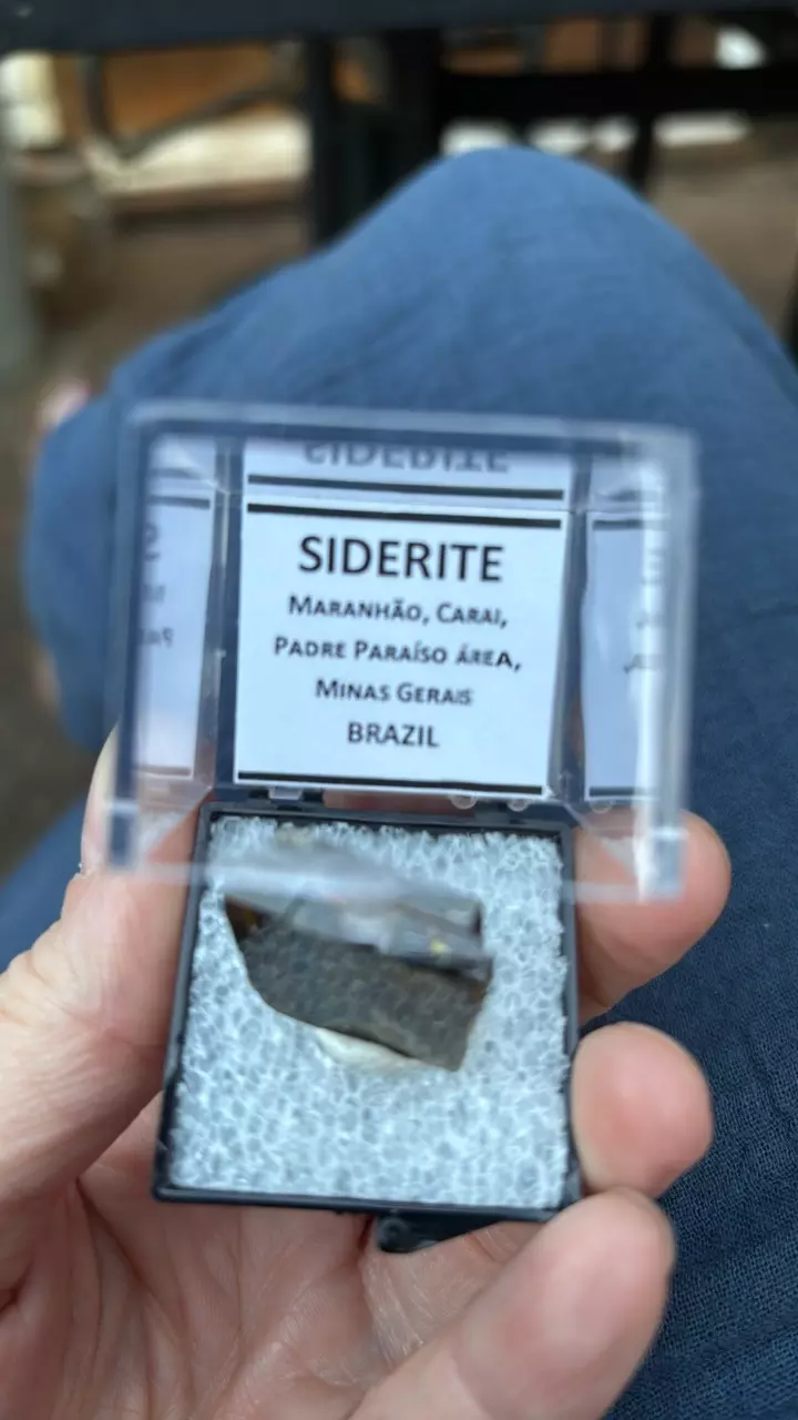 plant/Siderite from Brazil-3