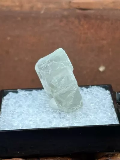 plant/Etched Fluorite Switzerland-4-thumbnail