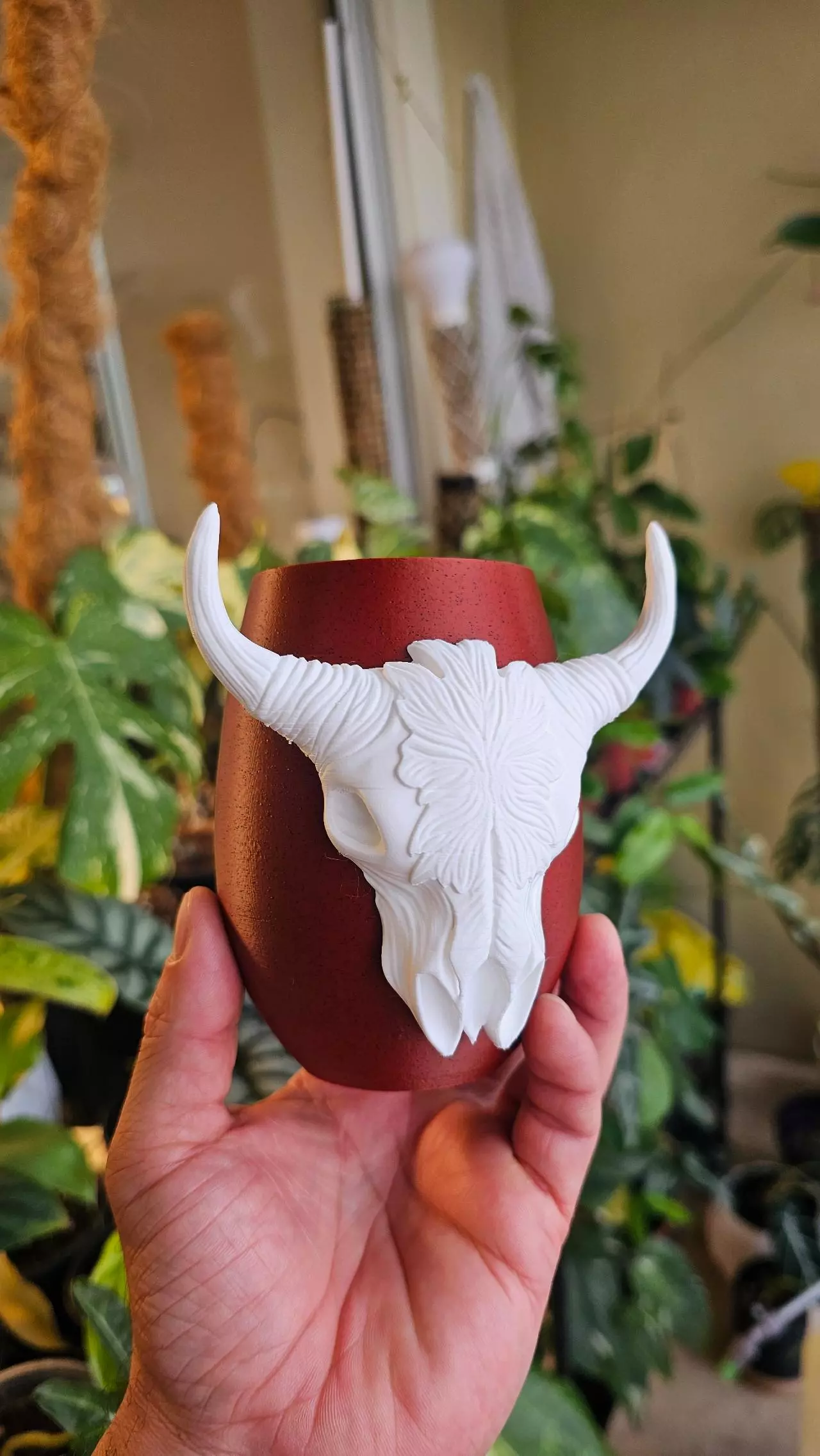plant/CUSTOM Wild Frontier 2in Pot - BASIC/SPECIALTY-0