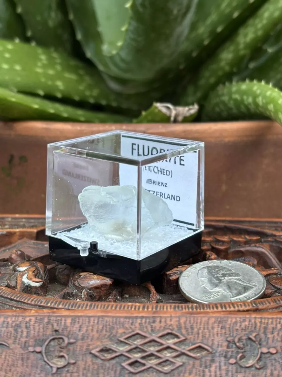 plant/Etched Fluorite - no sketcky with this Etchy!-5