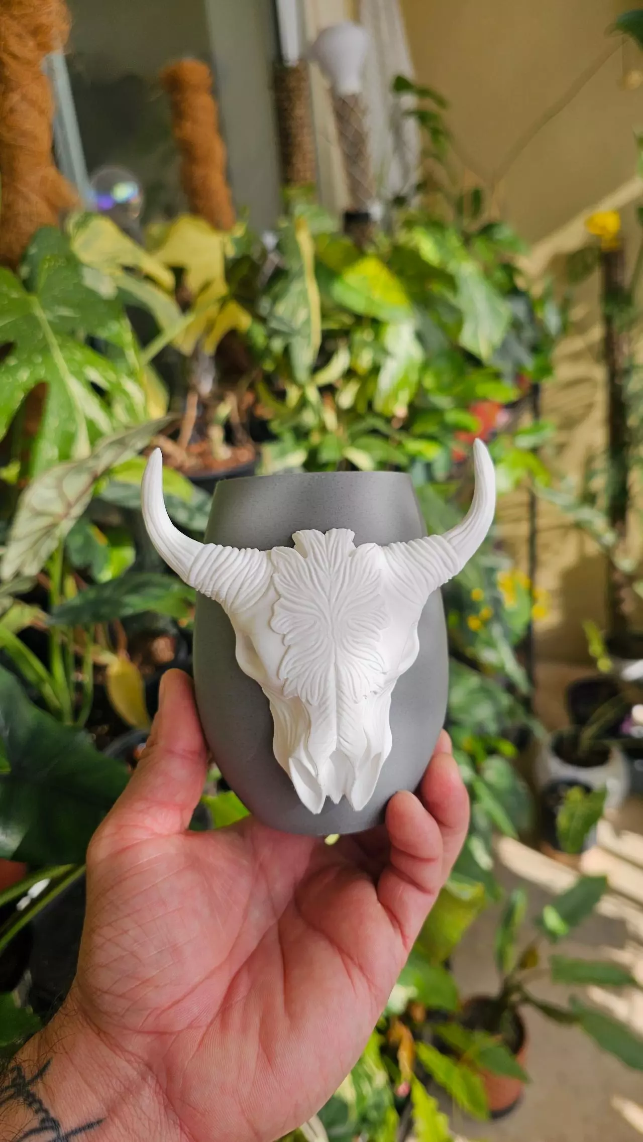 plant/CUSTOM Wild Frontier 2in Pot - BASIC/SPECIALTY-3