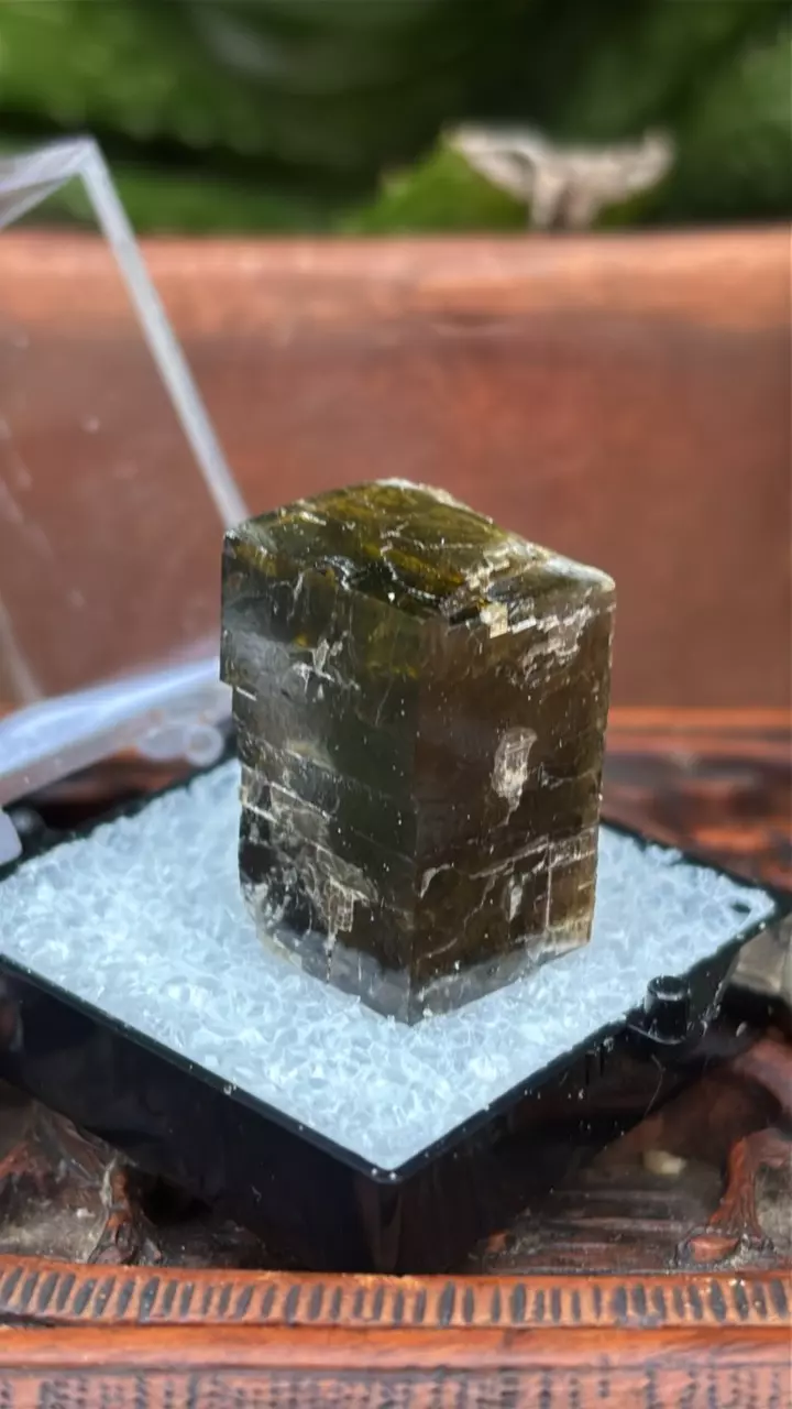 plant/Siderite from Brazil-0