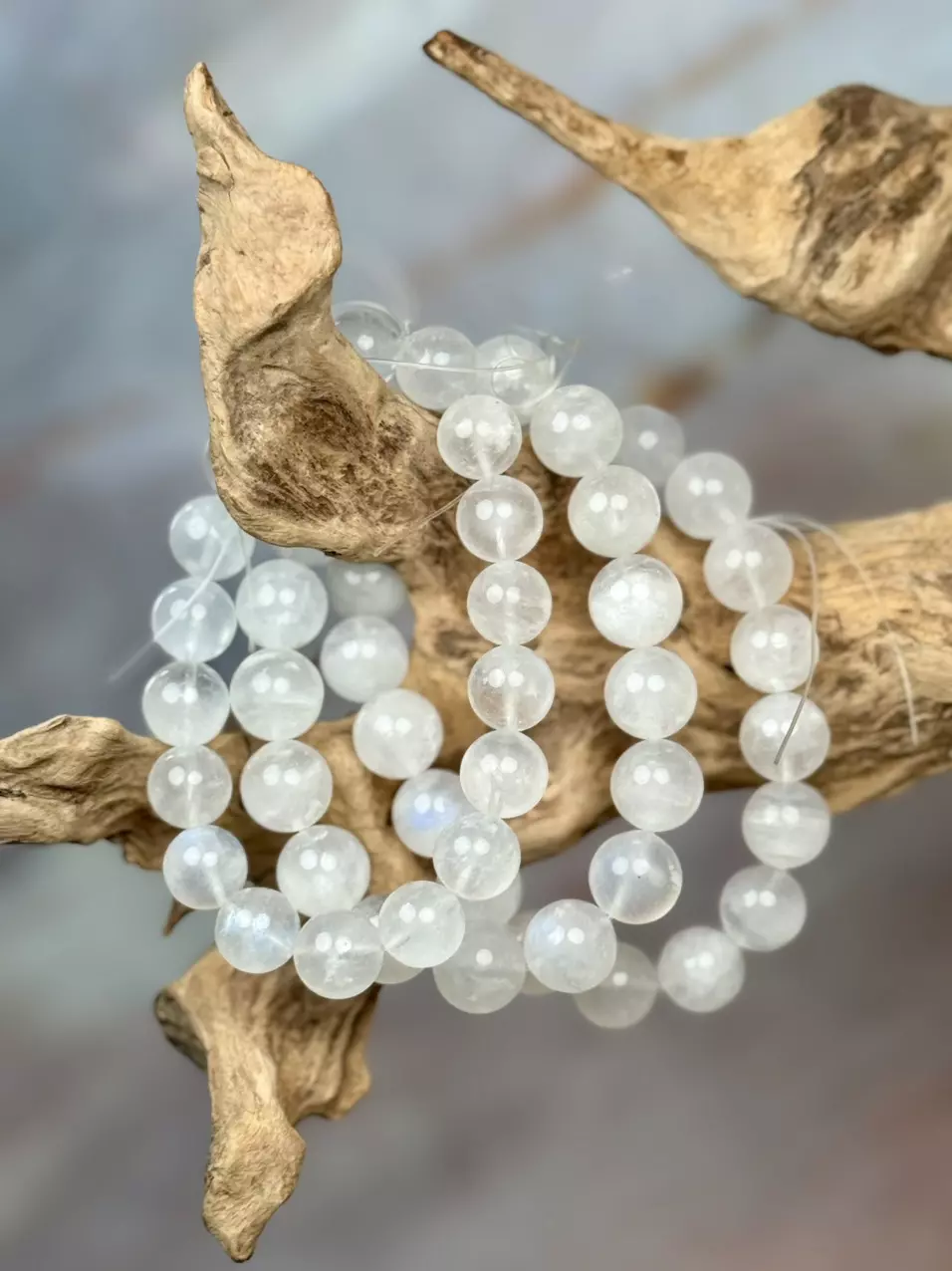 plant/white moonstone 10mm-12mm-0